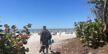 Beach Berm in Collier beaches