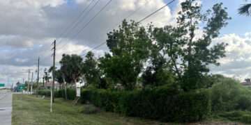 The northwest corner of Treeline Avenue and Daniels Parkway