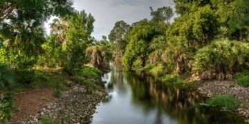 Winding riverway of the Gordon River tributary in Naples, Florida