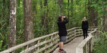 Corkscrew Swamp Sanctuary