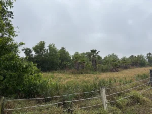 Winkler& Gladiolus farmland in south Fort Myers