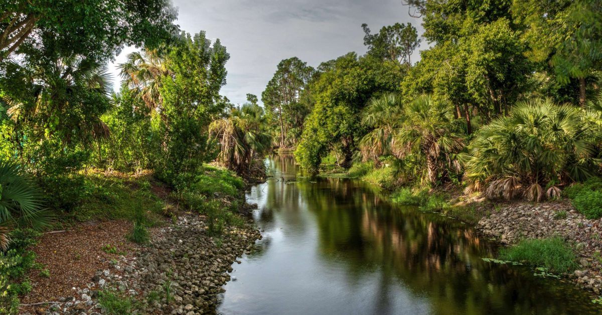 Winding riverway of the Gordon River tributary in Naples, Florida