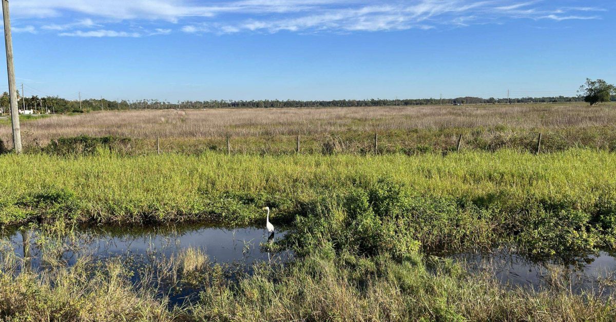 Amazon facility site