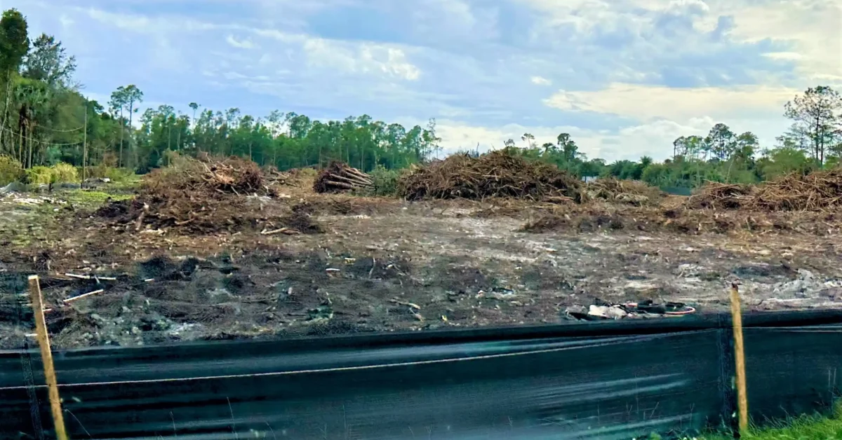 Land clearing on Immokalee Road for The Karlyn senionr living complex