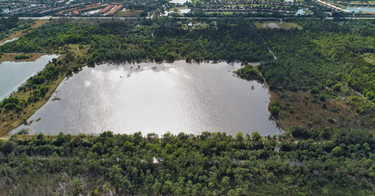 Seagate-Bonita-Bch-Rd-aerial-53