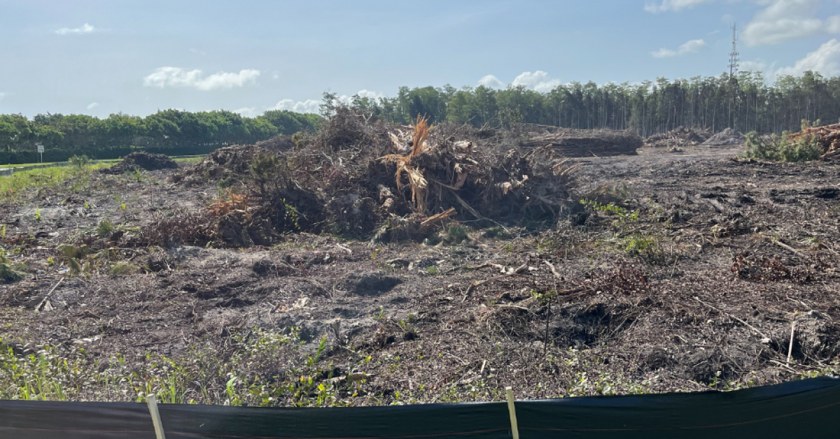 FGCU land clearing