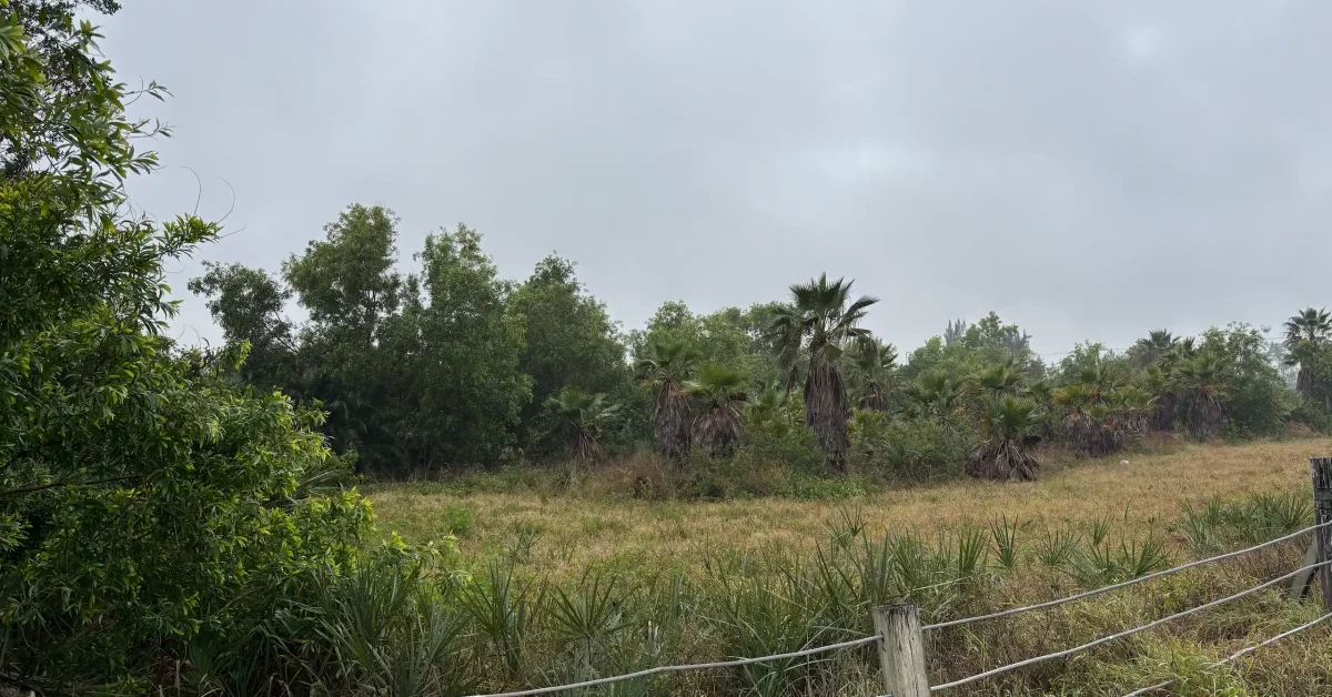 Winkler& Gladiolus farmland in south Fort Myers