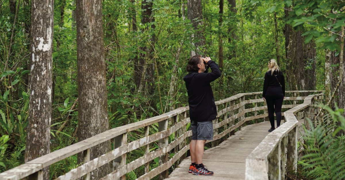 Corkscrew Swamp Sanctuary